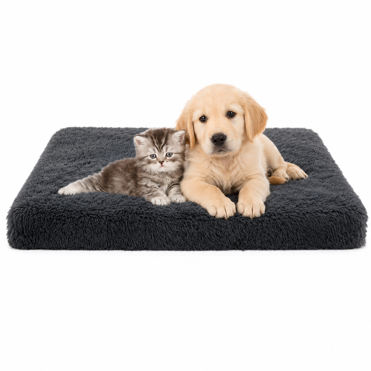 Relaxen auf Hundeart